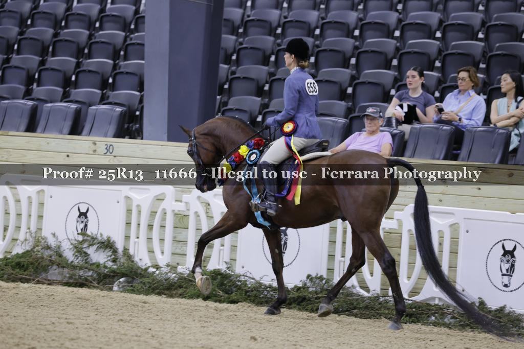 Proof 25R13_11666