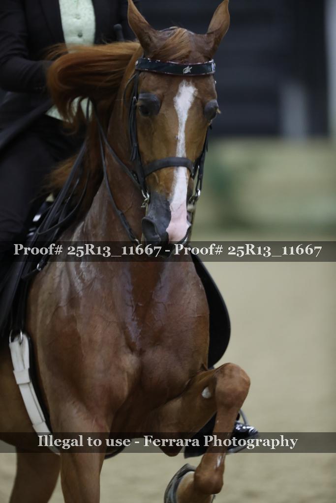 Proof 25R13_11667