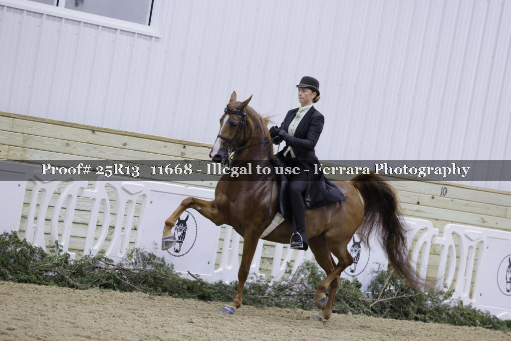 Proof 25R13_11668