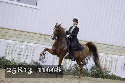 25R13_11668 proof