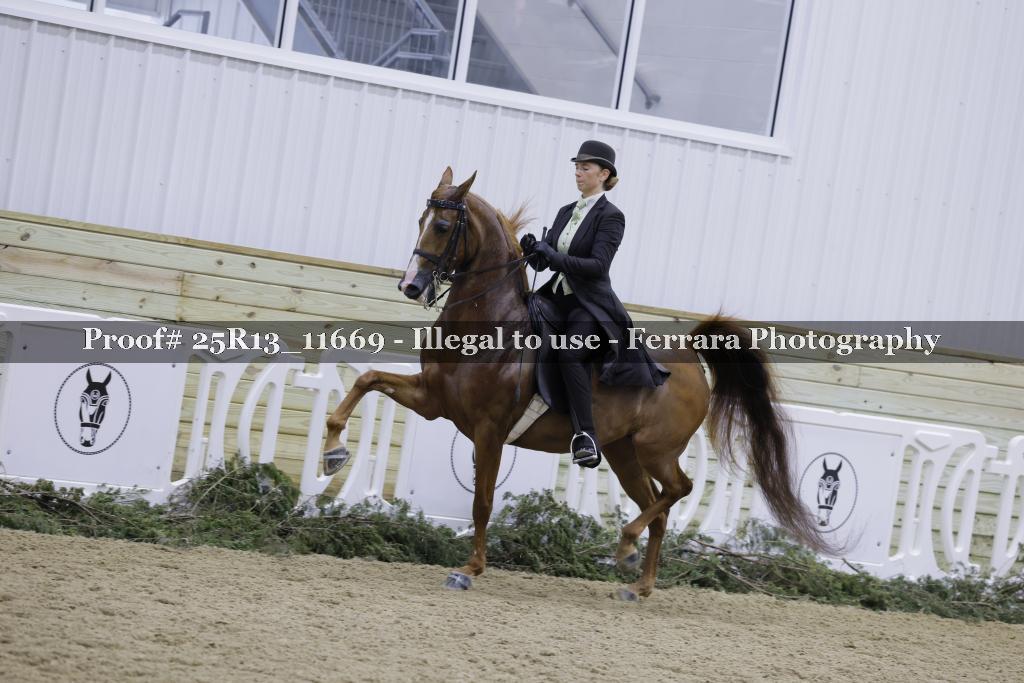 Proof 25R13_11669