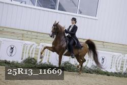 25R13_11669 proof