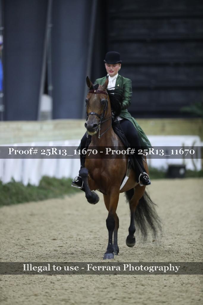 Proof 25R13_11670