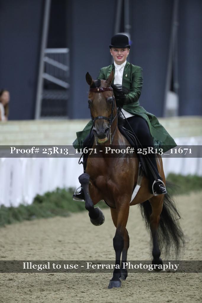 Proof 25R13_11671