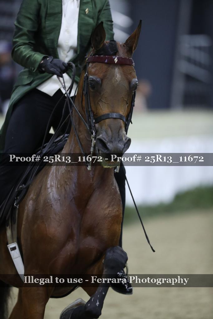 Proof 25R13_11672