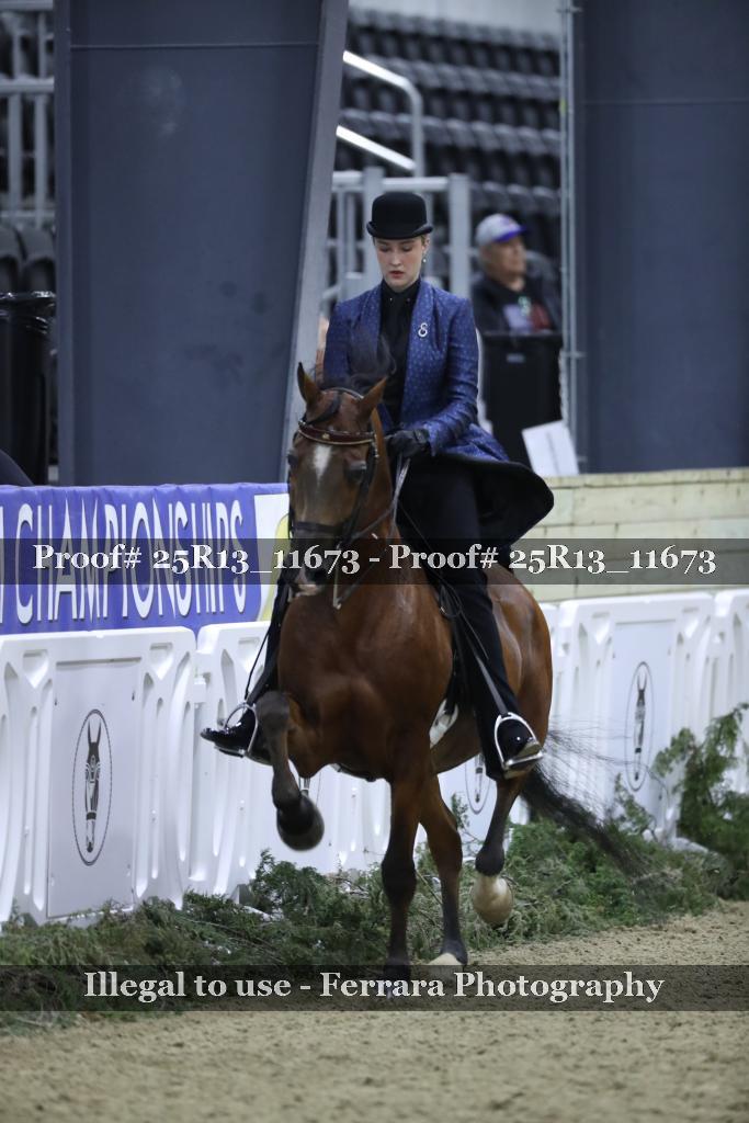 Proof 25R13_11673