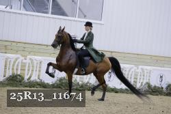 25R13_11674 proof