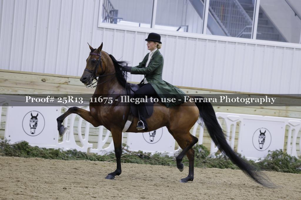Proof 25R13_11675