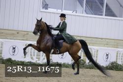 25R13_11675 proof