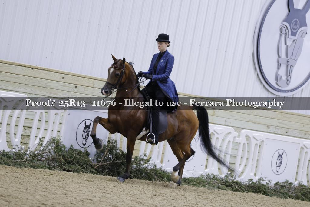 Proof 25R13_11676