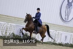 25R13_11676 proof