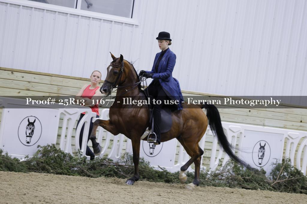 Proof 25R13_11677