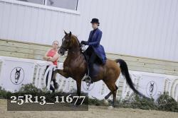 25R13_11677 proof