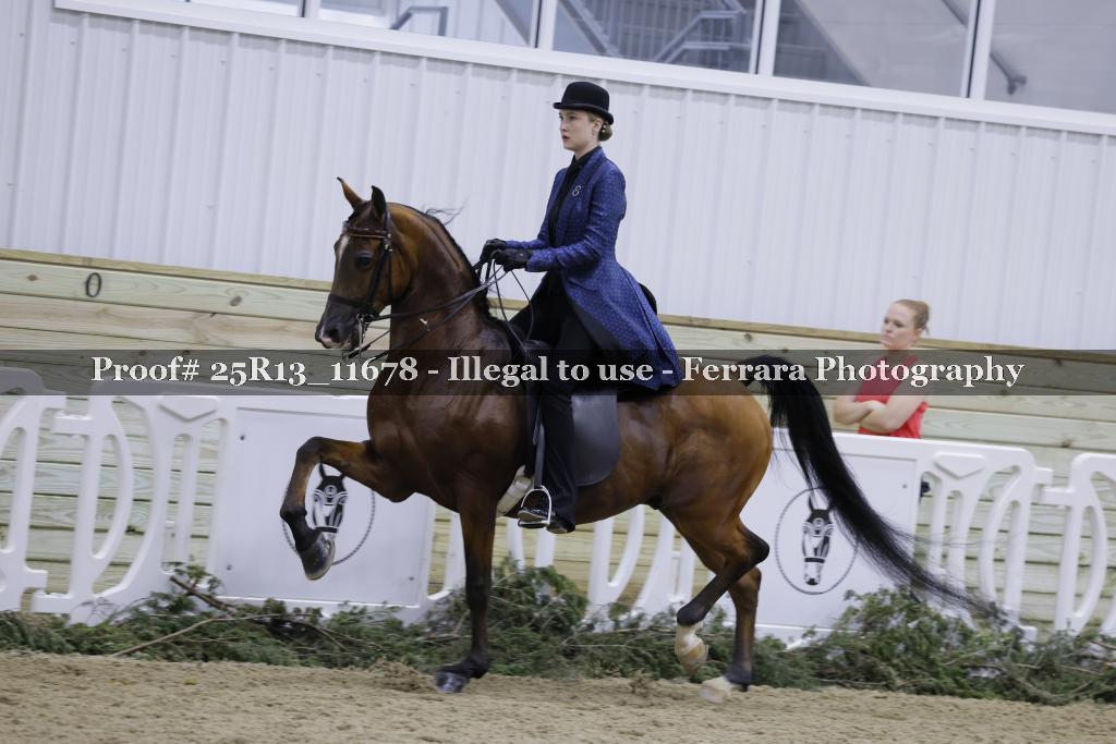 Proof 25R13_11678