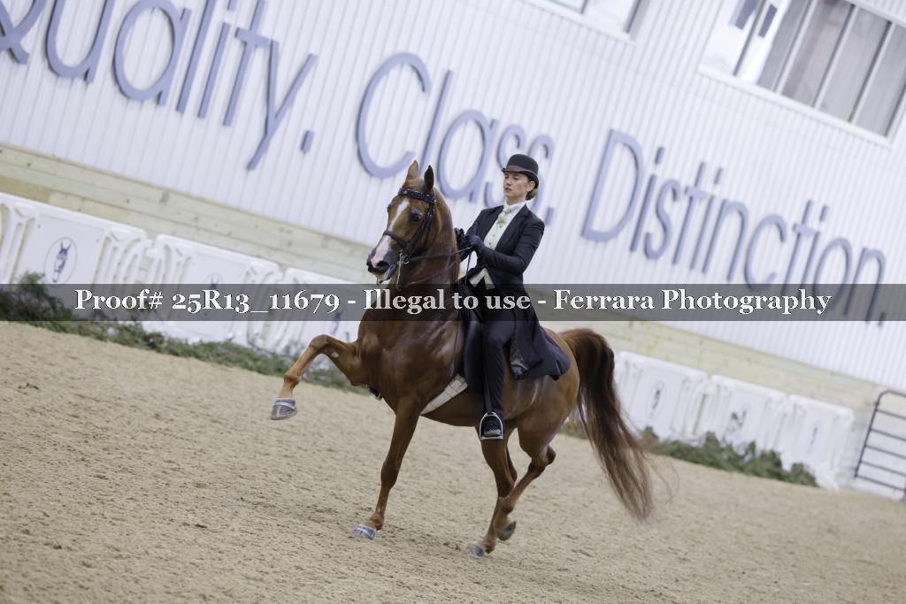 Proof 25R13_11679