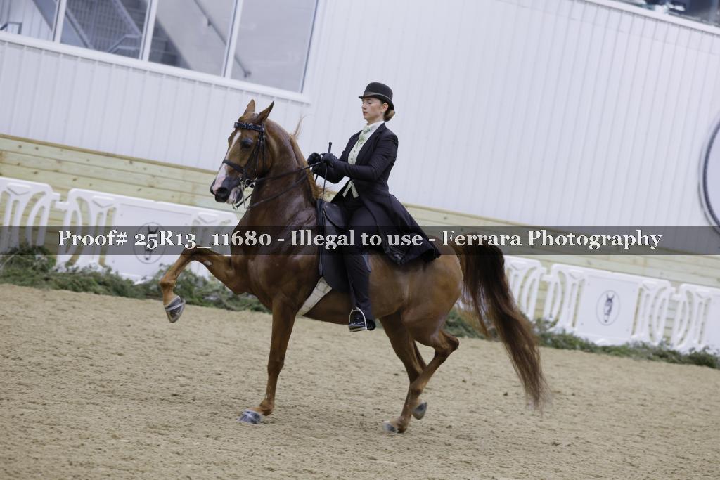 Proof 25R13_11680