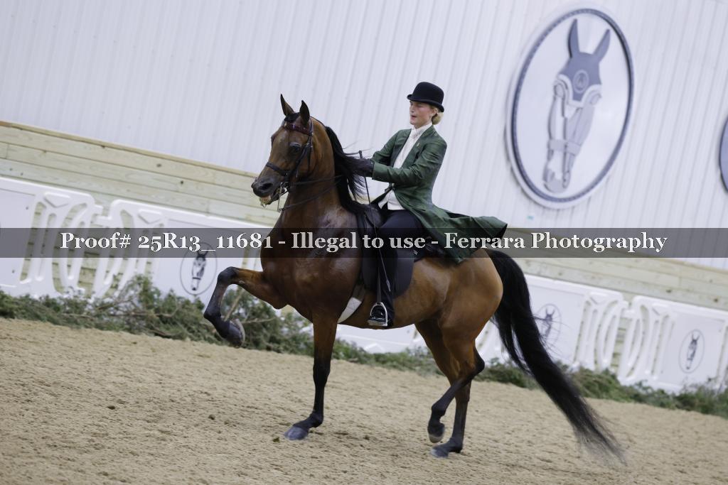Proof 25R13_11681