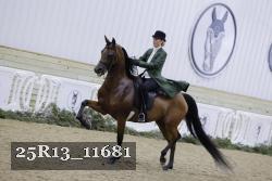 25R13_11681 proof
