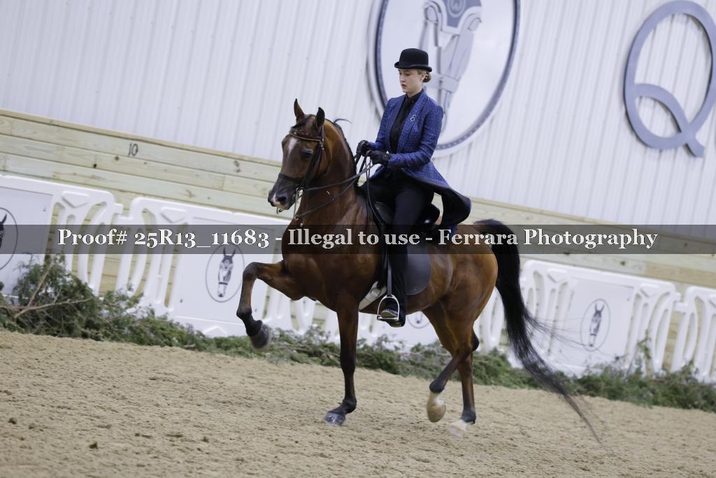 Proof 25R13_11683