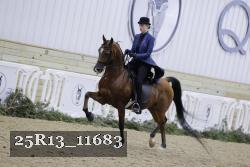 25R13_11683 proof