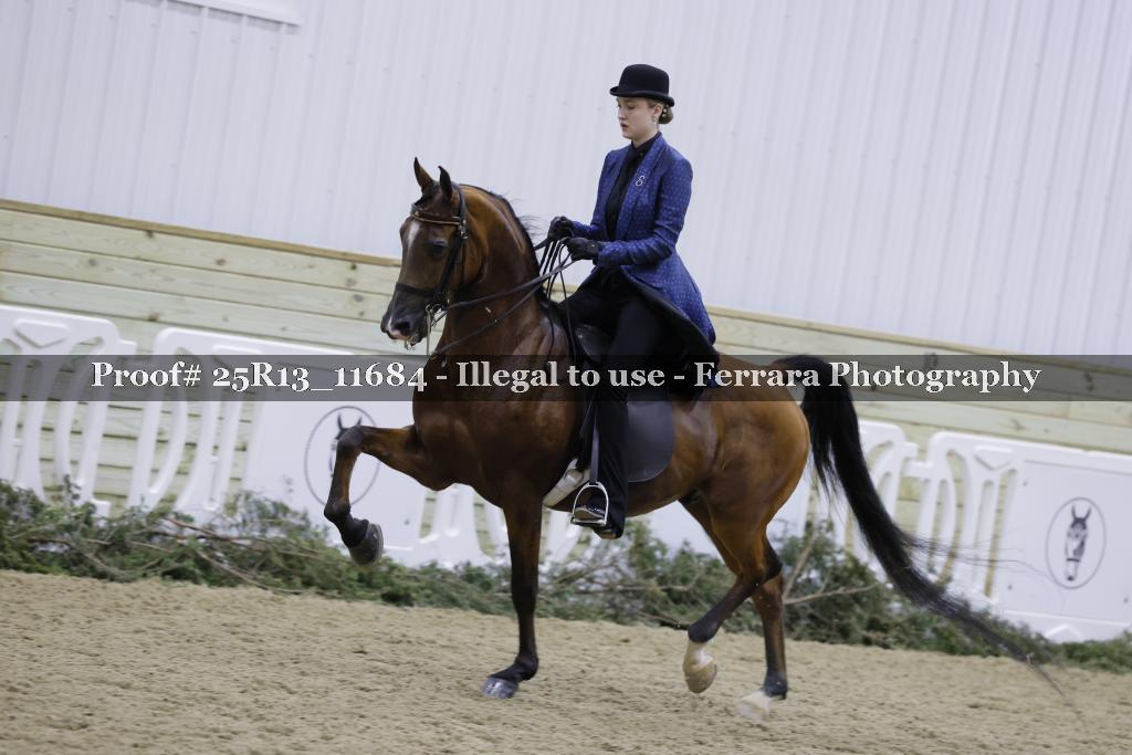 Proof 25R13_11684