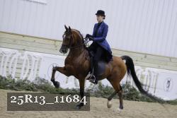 25R13_11684 proof