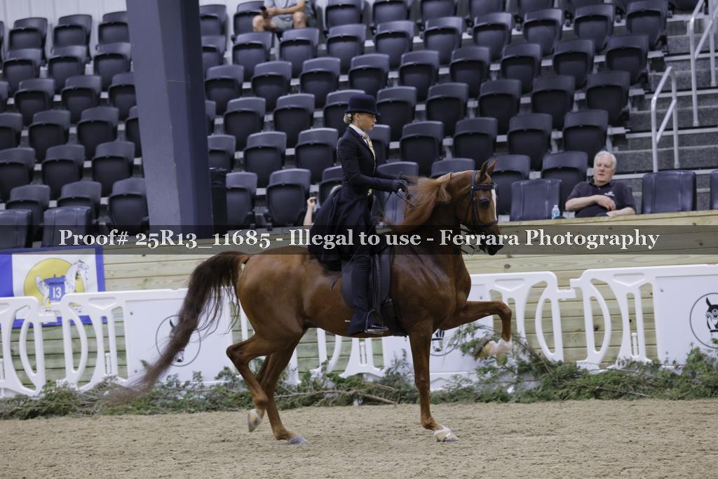 Proof 25R13_11685