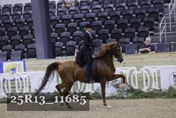 25R13_11685 proof
