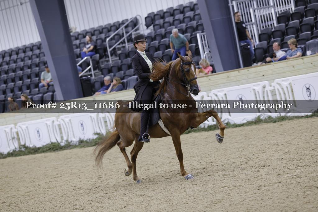 Proof 25R13_11686