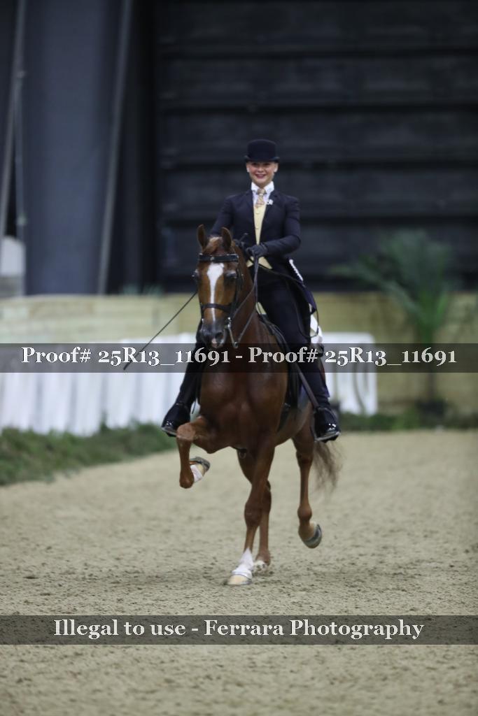 Proof 25R13_11691