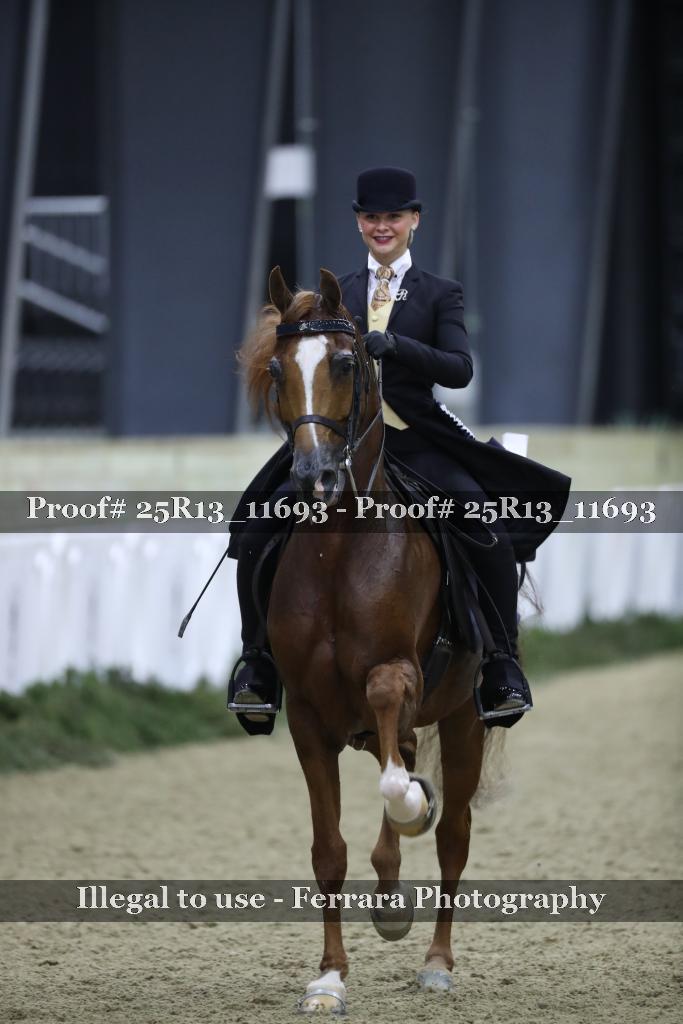 Proof 25R13_11693