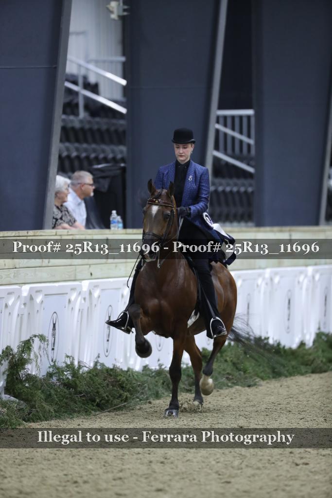 Proof 25R13_11696