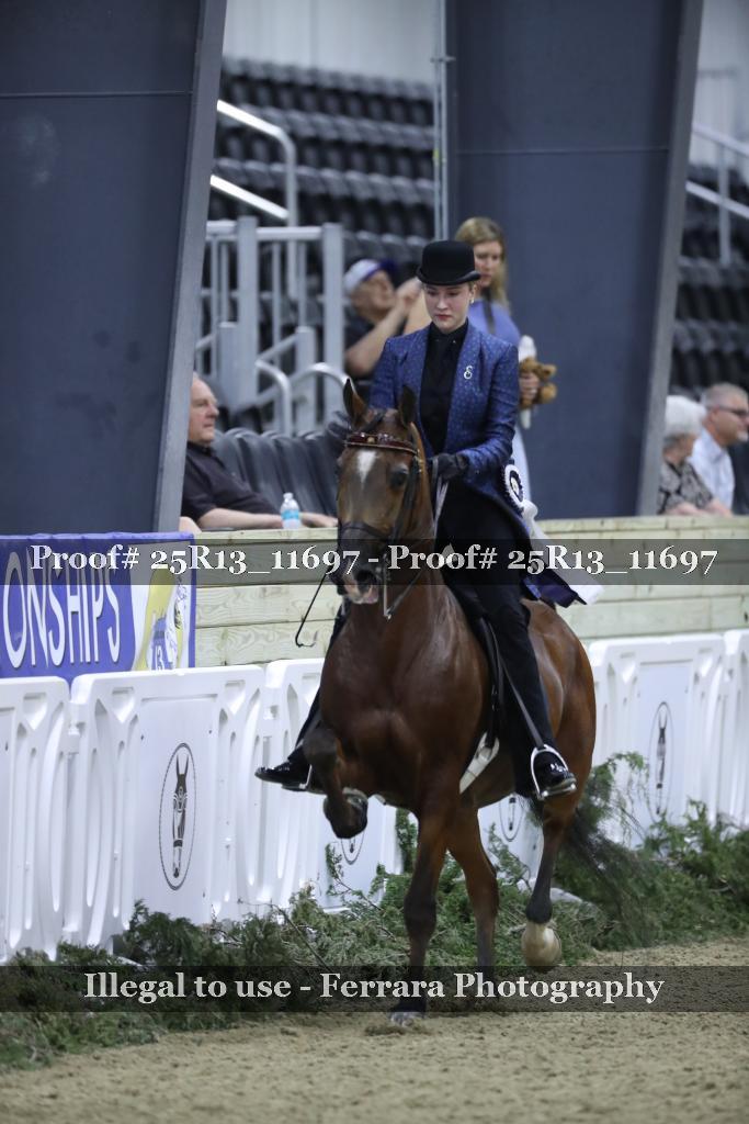 Proof 25R13_11697