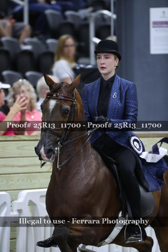 Proof 25R13_11700