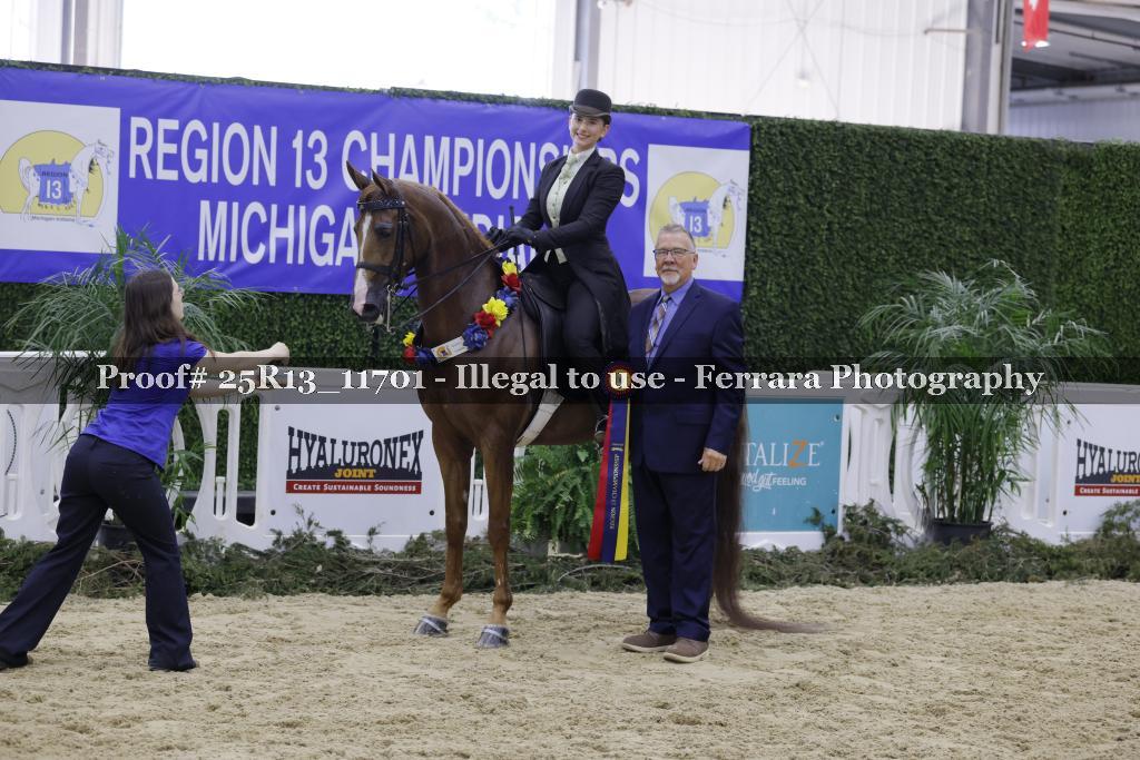 Proof 25R13_11701