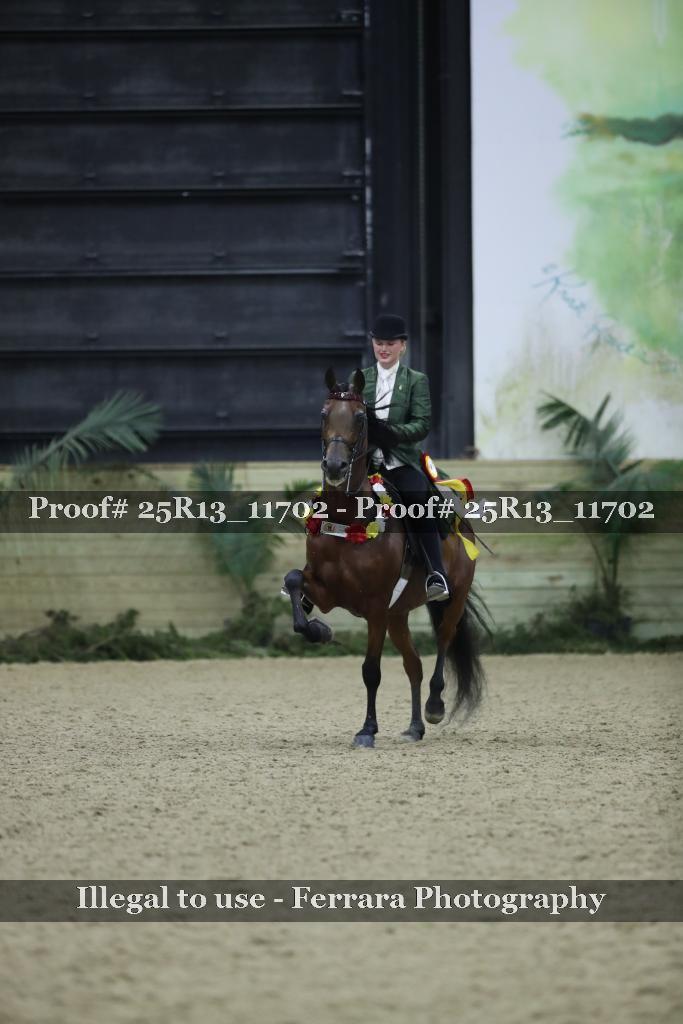 Proof 25R13_11702