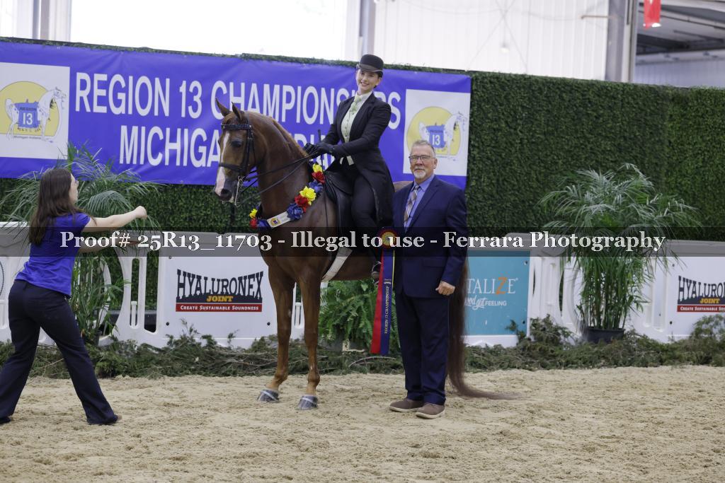 Proof 25R13_11703