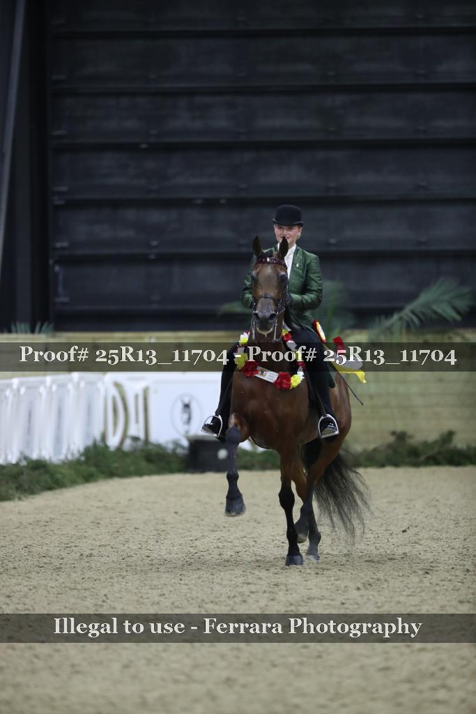 Proof 25R13_11704