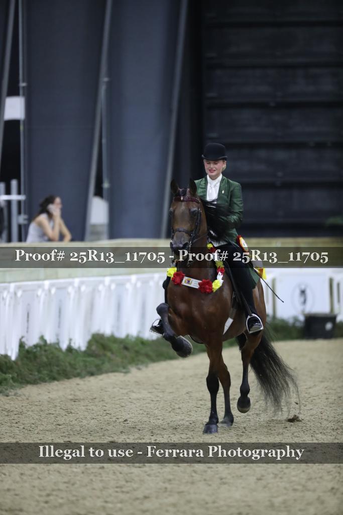 Proof 25R13_11705