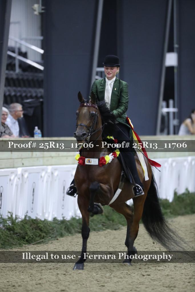 Proof 25R13_11706