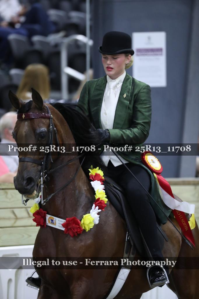 Proof 25R13_11708