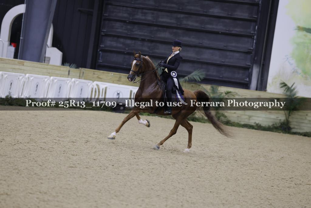 Proof 25R13_11709