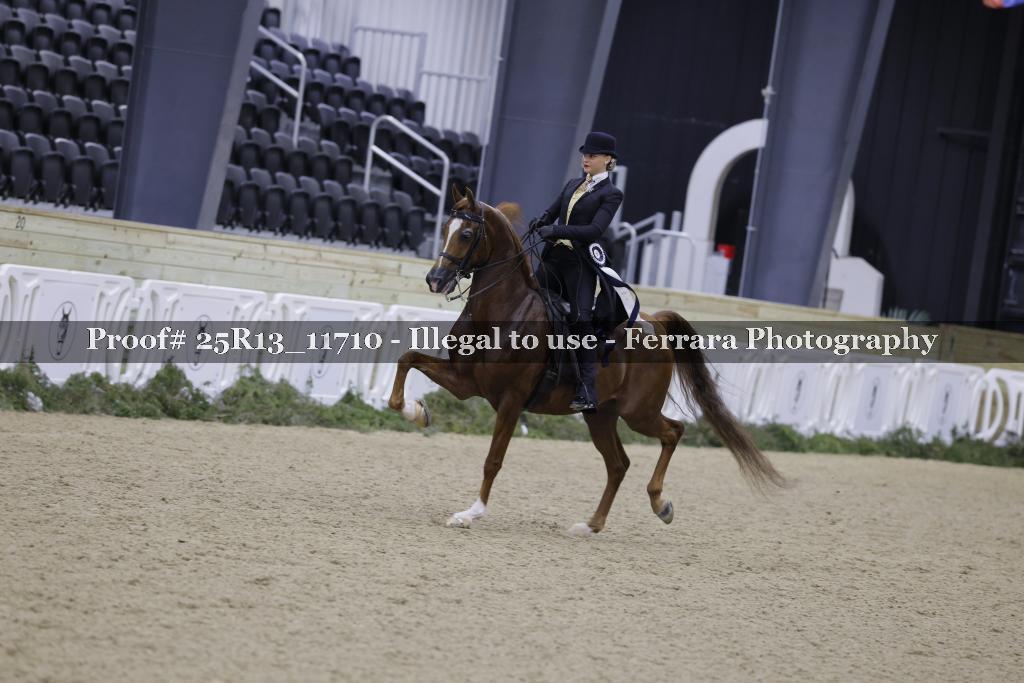 Proof 25R13_11710