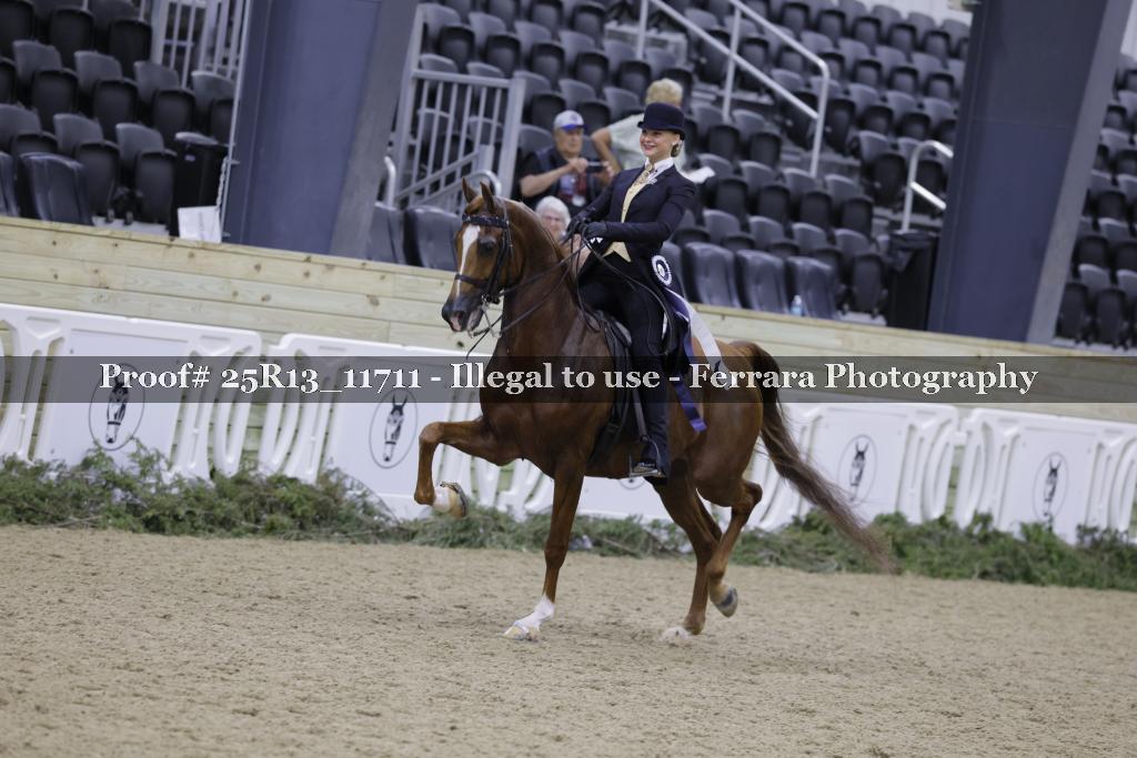 Proof 25R13_11711