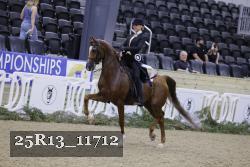25R13_11712 proof