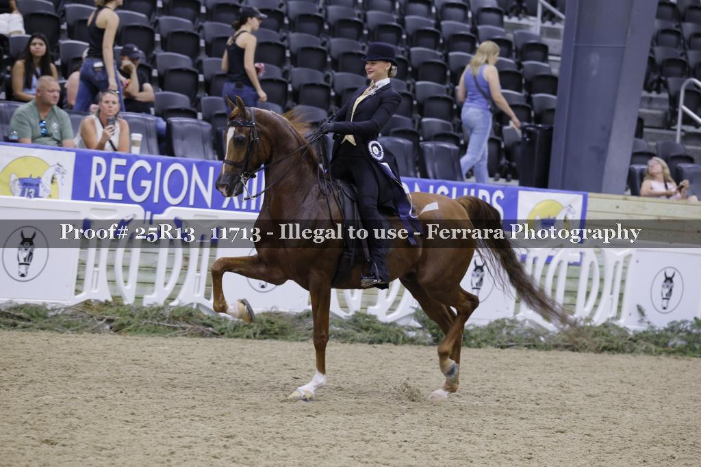 Proof 25R13_11713