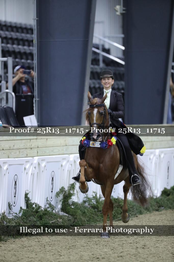 Proof 25R13_11715