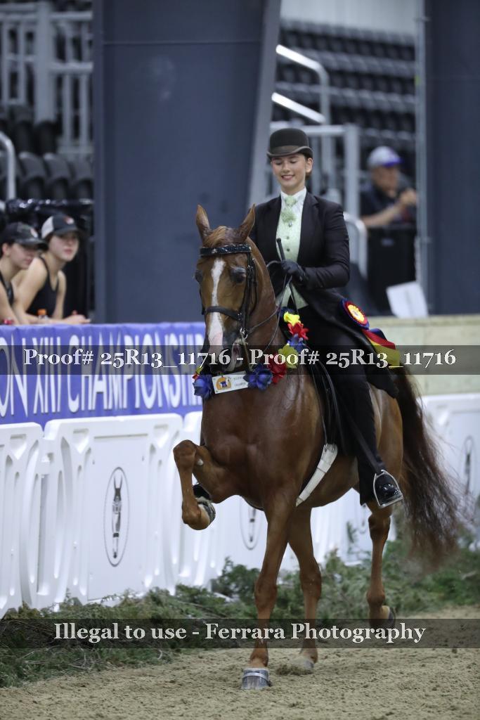 Proof 25R13_11716