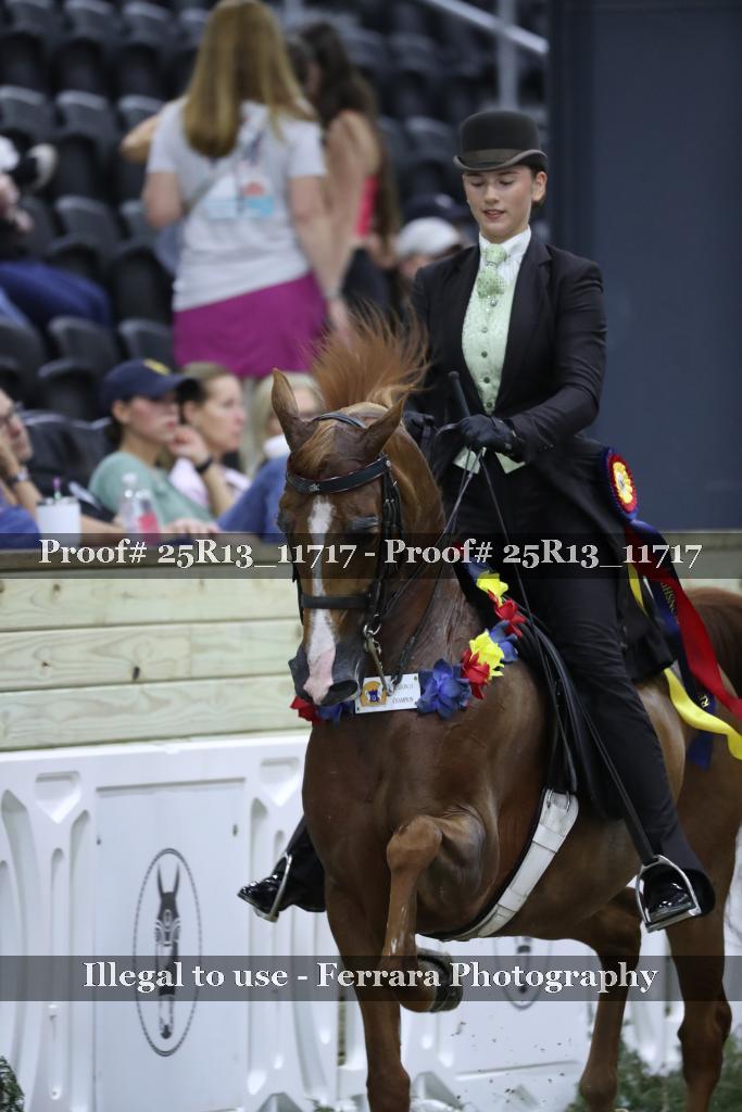 Proof 25R13_11717