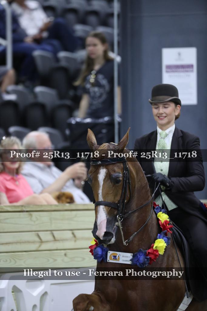 Proof 25R13_11718